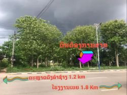 ID: 4521- Large land by main road near Lao-Thai Friendship Bridge for sale