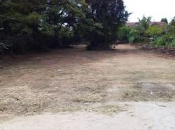 ID: 4245 - Surfaced land near 150 Tieng hospital for sale
