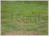 ID: 864 - Vacant land in town near Market