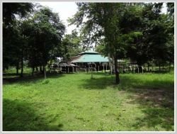 ID: 3597 - Large nature land near main road for sale