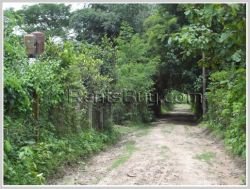 ID: 3597 - Large nature land near main road for sale