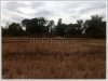 ID: 523 - Vacant land for sale at Nongheo Village