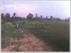 ID: 1119 - Vacant land for sale in town near Beer Lao Factory