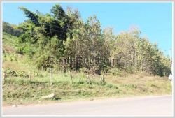 ID: 3446 - Nice land for sale in Luangprabang Provice, 7Km from the city.