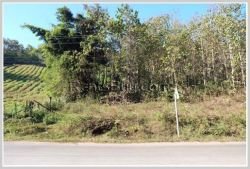 ID: 3446 - Nice land for sale in Luangprabang Provice, 7Km from the city.