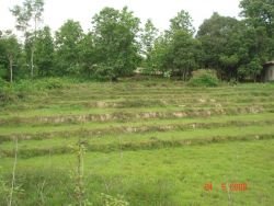 ID: 4230 - 2 hectare land near Luangprabang Airport by the bridge for hotel development