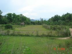 ID: 4230 - 2 hectare land near Luangprabang Airport by the bridge for hotel development