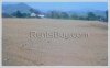 ID: 817 - Nice vacant land in Luangprabang for sale
