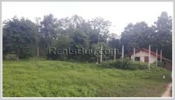 ID: 3370 - Former rice paddy land by pave road for sale in Ban Phanghang village