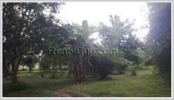 ID: 3370 - Former rice paddy land by pave road for sale in Ban Phanghang village