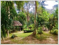 ID: 4343 - Agriculture land for sale in Naxaythong district, Vientiane capital