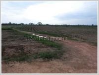 ID: 1139 - Land farm for sale at low price in Lingsun area