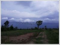 ID: 1139 - Land farm for sale at low price in Lingsun area