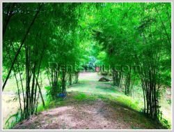 ID: 4343 - Agriculture land for sale in Naxaythong district, Vientiane capital
