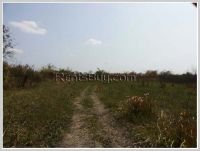 ID: 1139 - Land farm for sale at low price in Lingsun area