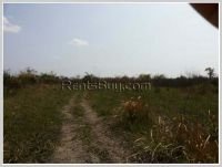 ID: 1139 - Land farm for sale at low price in Lingsun area