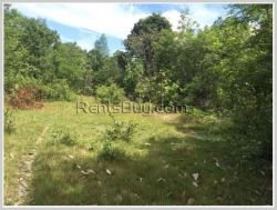 ID: 3658 - Vacant land next to concrete road for sale in Nakoun Tai Village