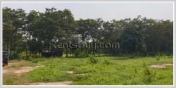 ID: 4373 - 35 Ha of Agriculture land for sale in Ban Phonkham, Pakngum District