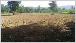 ID: 3705 - Argicultural land for sale near Numngum River in Pakngum District
