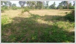 ID: 3705 - Argicultural land for sale near Numngum River in Pakngum District