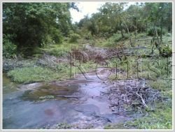 ID: 3688 - Argiculture land for sale in Phonhong District, Vientiane Province