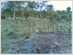 ID: 3688 - Argiculture land for sale in Phonhong District, Vientiane Province