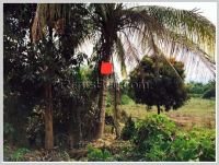 ID: 959 - Vacant land for sale at Sangthong District