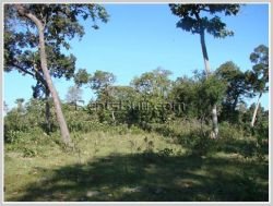 ID: 3019 - The big vacant land near main road for sale in Savannakhet Province