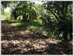 ID: 3913 - The big size land near main road and Patuxay for sale