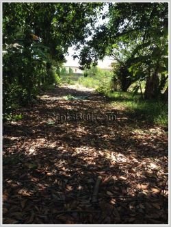 ID: 3913 - The big size land near main road and Patuxay for sale