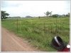 ID: 657 - Nice vacant land for sale at Viengchalern Village