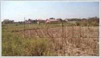 ID: 649 - Vacant land rice paddy in town for sale