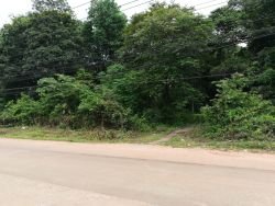 ID: 4176 - The large land next to main road in quiet area in Ban Somsaga for sale