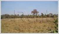ID: 3017 - Vacant land of rice paddy In Saysettha district for sale