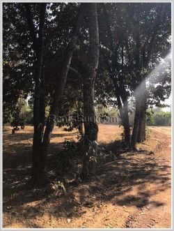 ID: 2064 - Nice vacant land next to Namngum River for sale.