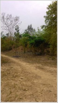 ID: 669 - Big plot of land for sale in Saythany district