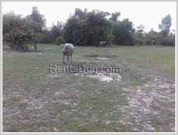 ID: 3516 - Nice vacant land not far from Tiger Beer Factory for sale