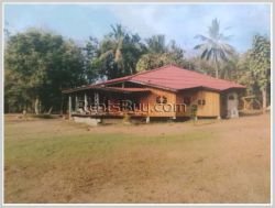 ID: 4273 - Vacant Shady land with pretty house in Ban Oudomphon for sale