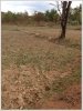 ID: 424 - Large Vacant land at Dongmukkhaiy