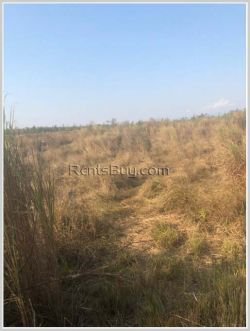 ID: 2756 - Argiculture near Thangon Bridge for sale