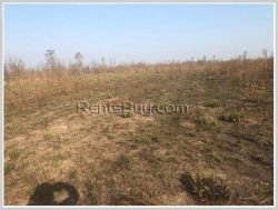 ID: 2756 - Argiculture near Thangon Bridge for sale