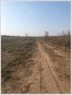 ID: 2756 - Argiculture near Thangon Bridge for sale