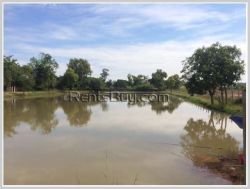 ID: 3825 - Land for sale near NUOL in Nathom Village