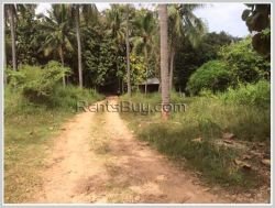 ID: 3825 - Land for sale near NUOL in Nathom Village