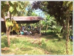 ID: 3825 - Land for sale near NUOL in Nathom Village