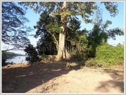 ID: 3834 - Agriculture land for sale near Numngum River in Pakngum District