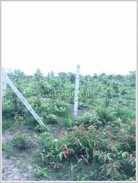 ID: 2819 - Vacant land at Koknoi Village