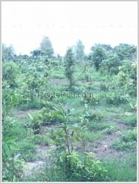 ID: 2819 - Vacant land at Koknoi Village