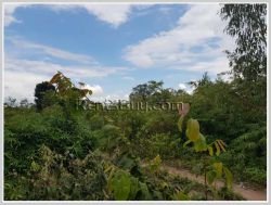 ID: 4358 - Agriculture land for sale in Ban Champa, Sikhottabong District