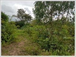 ID: 4358 - Agriculture land for sale in Ban Champa, Sikhottabong District